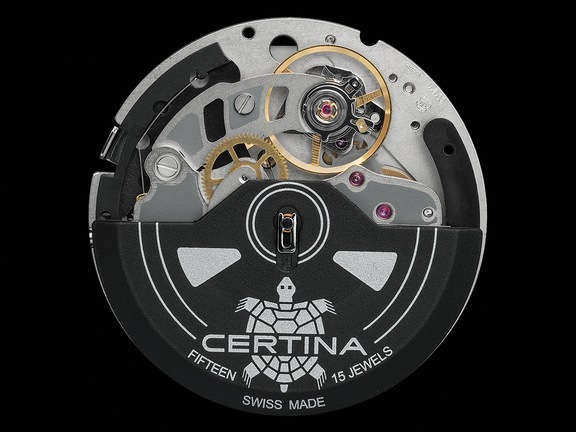 C01.211 Movement