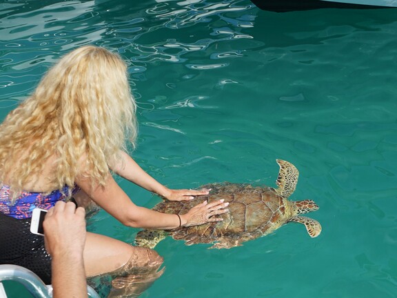 Certina partner of Sea Turtle Conservancy