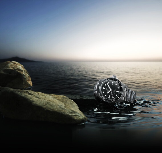 ds action diver