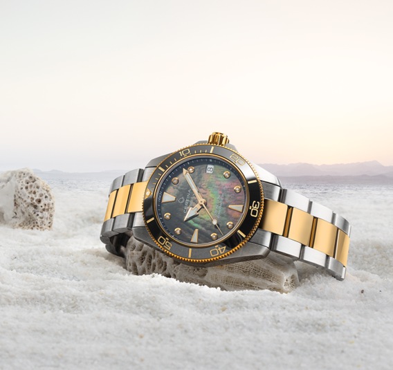 DS Action Diver 34.5mm