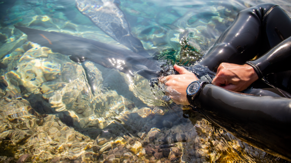 男士 watch ∙ 自动机械 ∙ 蓝色 ∙ 316L精钢 - #3